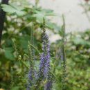 송정하우스 이미지