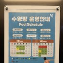 나인트리 바이 파르나스 서울 판교 수영장 | 판교 호캉스 나인트리 바이 파르나스 서울 판교 수영장 후기｜예약 방법부터 수영모, 이용 꿀팁까지