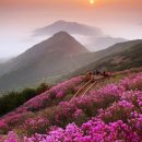 목향마트 이미지