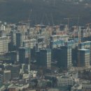 매도아리 네이버블로그