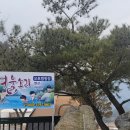 여울소리오토캠핑장 이미지