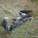 영등포공원 이미지