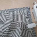 이도라돈 이미지