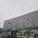 보령유통 | 수원 영통 서천 경희대 뒤쪽 보령활어유통 회 포장 후기