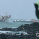 토끼섬