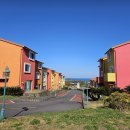 소락스위스 이미지