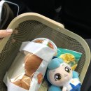 파인트리키즈풀빌라 이미지