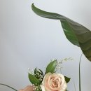 스튜디오봄울