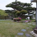 하얀미소 펜션 이미지