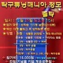 탁구매니아