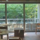 (주)코코소프트 | 샵아모멘토 Thistles 코코 선글라스 chimi 본 선글라스 착용 후기 애프터먼데이 need of 신상 둘러보기