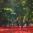 불갑사 관광안내소 이미지