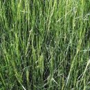 초지축산 이미지