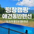평창숲펜션 | 강원도 평창캠핑&amp;펜션 | 애견동반 가능한 숲과개울오토캠핑&amp;펜션 후기