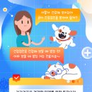 검단종합동물병원 이미지