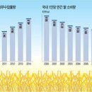 (경제)"국제쌀값 급등, 의무수입이 되레 손해" vs "섣부른 관세화 농가 부담 가중" 이미지