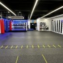 용인대SM복싱클럽 장기점 이미지