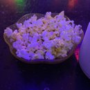 용문 노래방 이미지