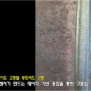 오메가솔루션
