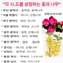 3월 산행 계획 및 598차 산삼 산행모습 (17.2.24 14분이 함께한 쇠미산 임도길) 이미지