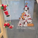 멍 | 부산 거제동 애견미용 말랑멍무 후기(사직동 강아지 미용)