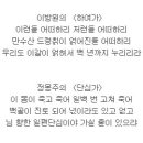 하여가 Daum카페