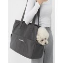 모던켄넬 이미지