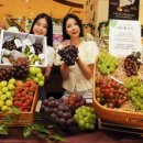 신세계농장 이미지