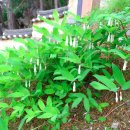 경주대학교박물관 이미지