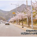 목촌돼지국밥 범방점 | ┃강서구.범방동┃목촌돼지국밥 (범방동 돼지국밥/순대국밥 맛집)