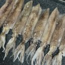 한치로1 이미지