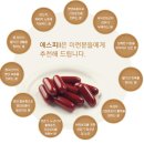 신진에스피 이미지