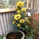 달빛머무는마을 이미지