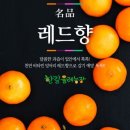 한길3농장 이미지