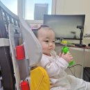 웰핏 | 바른자세 아이 의자등받이 허리편한의자 포티니 웰핏 사용후기