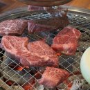 우담채 이미지