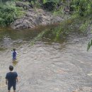 반딧불민박 이미지