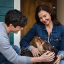 A dog's (어독스) 이미지