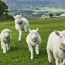 마더농장 이미지