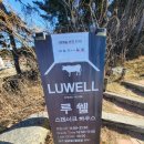 루웰(LuWell)스테이크하우스 | 강릉 레스토랑 현지인맛집 기념일 데이트 루웰스테이크하우스