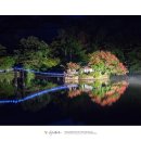 중앙사슴목장 이미지