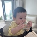 토마토전자(주) | 7개월 중기 죽이유식(4주차) 토마토, 대구, 키위, 딸기~