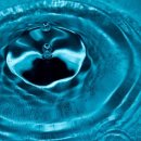 김철호 농장 이미지