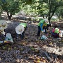 서구 자원봉사센터(6) 이미지