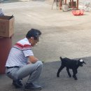 영월창령사지 | 오백나한의 고향...&lt;창령사지&gt; (영월군)
