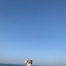 청시행비치 이미지