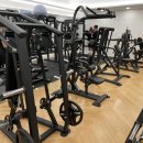 원스피티 이미지