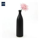 라베니스 이미지