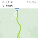 제 1200 회 이미지