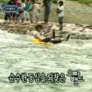 안미초등학교 이미지